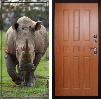 Металлическая дверь с фотопечатью носорога ДФ-31 в Коломне