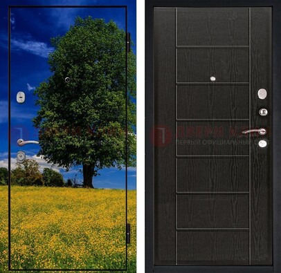 Железная дверь с фотопечатью дерева в поле ДФ-36 в Коломне