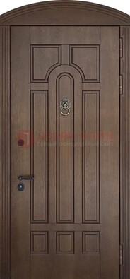 Коричневая стальная дверь с виноритом в форме арки ДВТ-237 в Коломне